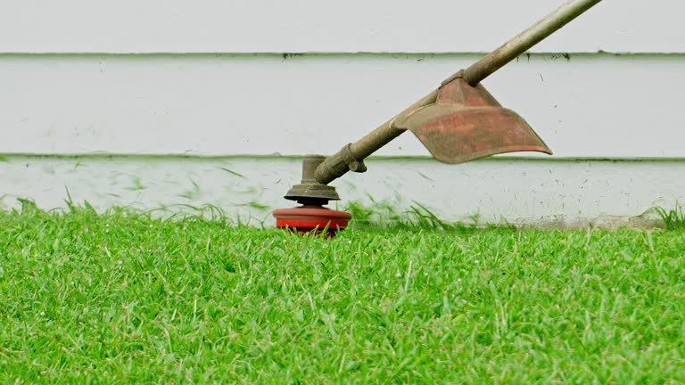 Best Lawn Irrigation Installation and Maintenance  in Oxford, GA